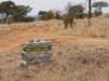 Tarangire Sopa Lodge - Road 